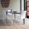 Silla Simba de Bontempi. Sillas de diseño para cocina, comedor o salones.