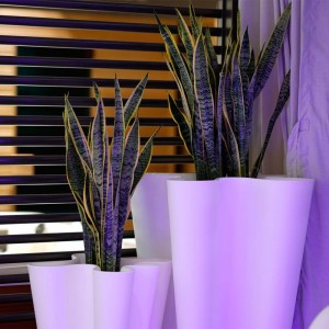 Macetero Light Bye Bye con Luz Led en el Interior y Sistema de Autorriego