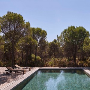 Tumbona reclinable DNA Teca para jardín de Gandia Blasco.