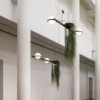 Lámpara suspensión Palma de Vibia. Diseño modeno para iluminación de salón.