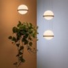 Lámpara suspensión Palma de Vibia. Diseño modeno para iluminación de salón.