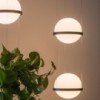 Lámpara suspensión Palma de Vibia. Diseño modeno para iluminación de salón.