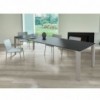 Mesa Winny Extensible Crsital de Ingenia. Mesas de comedor extensibles.