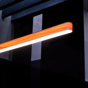 Lámpara de Suspensión I-Line. LZF. Estilo arquitectonico Diseño Burkhard Dämmer.