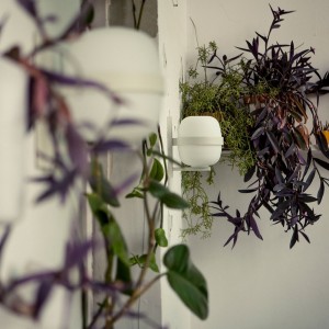 Aplique Wally Cestita de Santa & Cole. Lámparas diseño moderno aptas para exteriores.