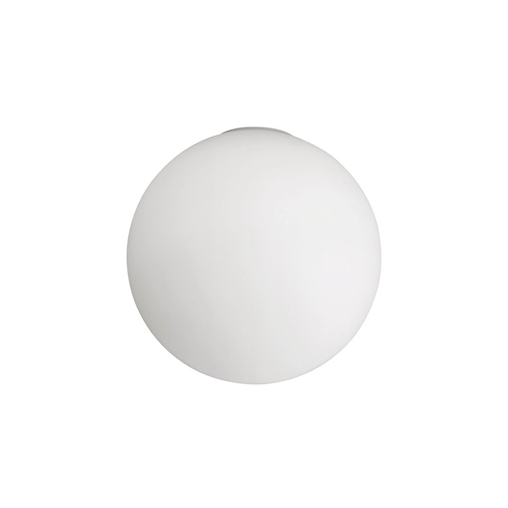 Dioscuri parete/soffitto 14