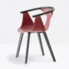 Sillón Fox 3725 de Pedrali. Sillones modernos de polipropileno para salón.
