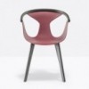 Sillón Fox 3725 de Pedrali. Sillones modernos de polipropileno para salón.