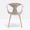 Sillón Fox 3725 de Pedrali. Sillones modernos de polipropileno para salón.