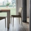 Silla Nata Flex Acero de Bontempi. Sillas de comedor de diseño contemporáneo.