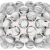 Caboche: Transparente