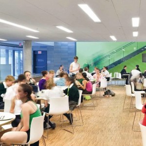 Silla Catifa 46 polipropileno patín Arper. Silla moderna para contract.