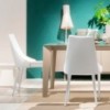 Silla Clara Tapizada de Bontempi. Sillas de comedor de diseño. Sillas y taburetes.