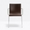 Sillón Kuadra XL 2464 de Pedrali. Sillas de diseño. Sillas tapizadas den cuero.