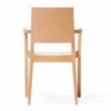 Sillón Lyon madera de Ton. Sillones para comedor, de innumerables interiores.