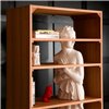 Librería Venus Driade