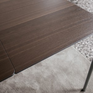 Mesa ST35 extensible Extendo