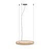 Lámpara suspensión Ring Light Ozzio Desing
