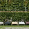 Banco Crate Dining Hay