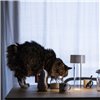 Lámpara sobremesa portátil Fleur Foscarini
