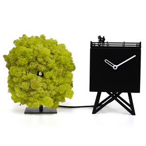 Reloj Birdwatching Progetti