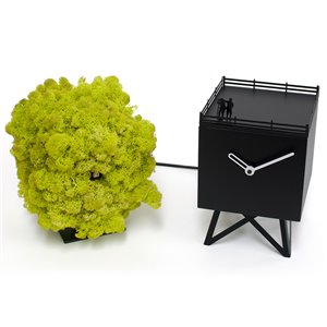 Reloj Birdwatching Progetti