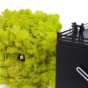 Reloj Birdwatching Progetti