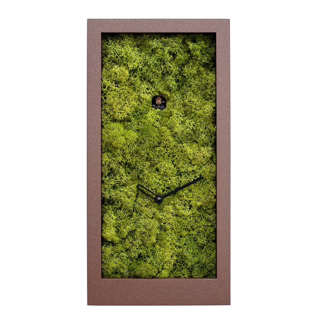 Reloj pared Amazon Progetti