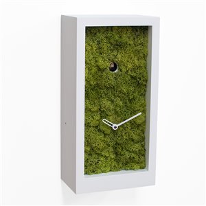 Reloj pared Amazon Progetti