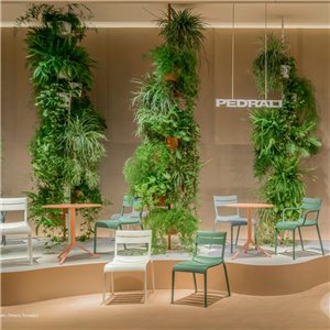 Silla Souvenir 550 Pedrali