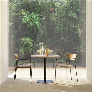 Silla Pecan SEN101 Punt