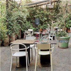 Silla Generic C Kartell