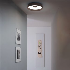 Lámpara techo Papavero Martinelli Luce