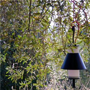 Lámpara suspensión Pistillo outdoor Martinelli Luce