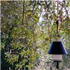 Lámpara suspensión Pistillo outdoor Martinelli Luce