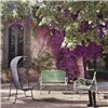 Sillón con pérgola Gardenias Outdoor BD Barcelona