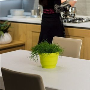 Macetero Mini Rebelot Plust Collection