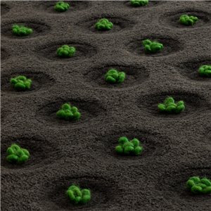 Alfombra La Geria-Lanzarote rectangular GAN