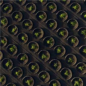 Alfombra La Geria-Lanzarote rectangular GAN