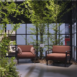 Maximo-Terra cannella