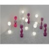 Tulip. Myyour