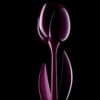 Tulip. Myyour