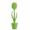 Tulip. Myyour