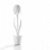 Tulip. Myyour