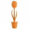 Tulip. Myyour
