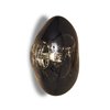 Aplique pared Melt Surface Tom Dixon