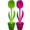 Tulip. Myyour