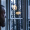 Lámpara suspensión Rituals Foscarini