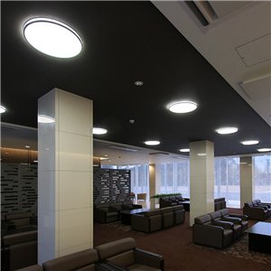 Lámpara AJ Munkegaard Louis Poulsen