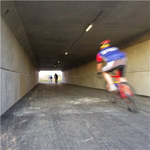 Lámpara AL 600 outdoor techo Louis Poulsen